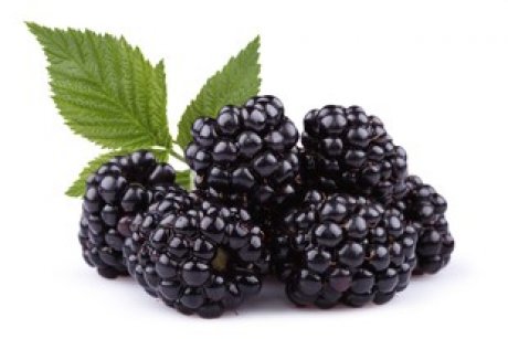 resized__460x307_csm_Blackberries_Original_806_e70925bcd7