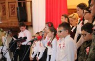 wrona (15)