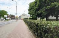 Przystrzyżony żywopłot przy ul