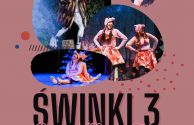 swinki 3- afisz