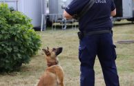 święto policji (50)
