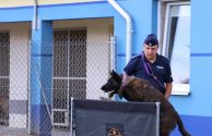 święto policji (52)