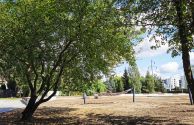 park kieszonkowy w Ostrołęce (25)