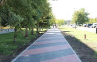 Kozłowskiego Lasa (6) 