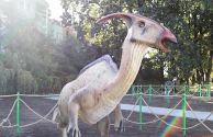 Dinozaury na osiedlu Centrum (1)