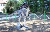 Dinozaury na osiedlu Centrum (18)