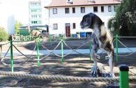 Dinozaury na osiedlu Centrum (19)