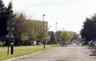 Kozłowskiego Lasa (Copy)