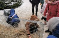 Czwarty dzień Kurpiowskiego Jarmarku Bożobarodzeniowego