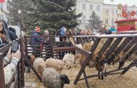 Czwarty dzień Kurpiowskiego Jarmarku Bożobarodzeniowego