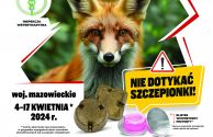 Plakat akcja szczepienia lisów przeciwko wściekliźnie - wiosna 2024