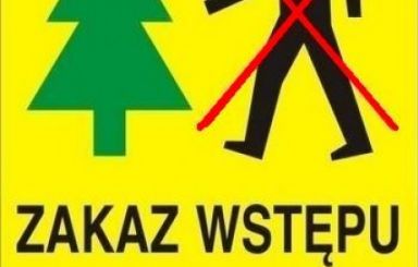 Zakaz wstępu do lasów