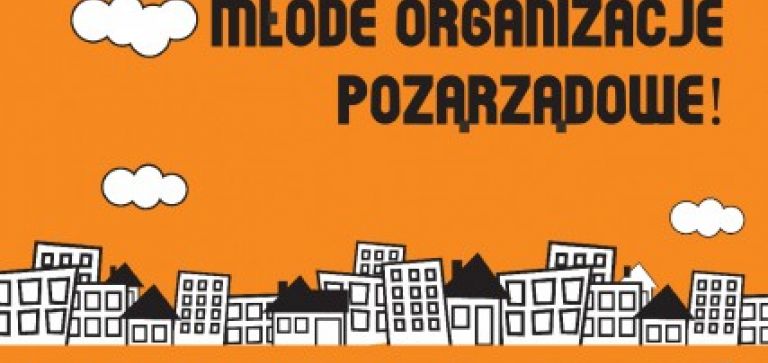 Młode organizacje pozarządowe na Mazowszu otrzymają dotacje na swój rozwój