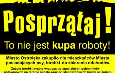 Posprzątaj! To nie jest kupa roboty!