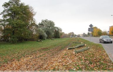 Od jutra ul. Witosa zamknięta