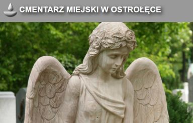 Cmentarz miejski w systemie 