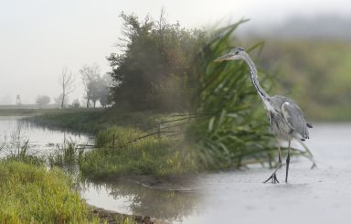 Wernisaż wystawy fotografii 