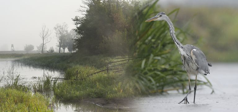 Wernisaż wystawy fotografii 