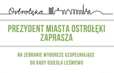 Osiedle Leśniewo - zebranie wyborcze uzupełniające do rady osiedla