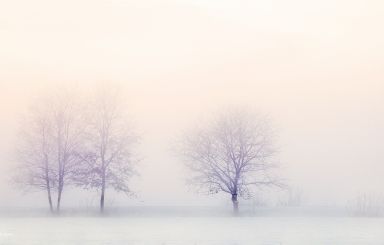 Uwaga! Prognozowane zawieje i zamiecie śnieżne