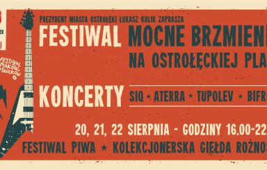 Festiwal foodtrucków i muzyki