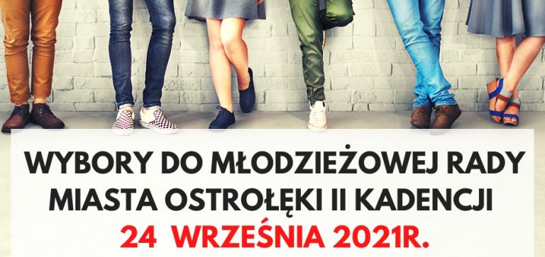 Wybory do Młodzieżowej Rady Miasta