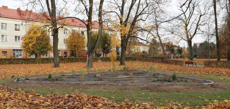 Nowa rabata roślinna na osiedlu Wojciechowice