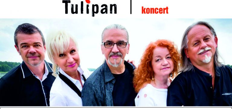 CZERWONY TULIPAN - koncert