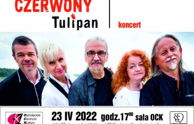 Koncert: Czerwony Tulipan