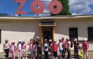 [NOWE ZDJĘCIA] Dzieci z zerówek pojechały do ZOO