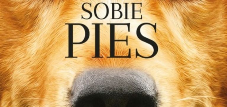 Kino plenerowe: Był sobie pies