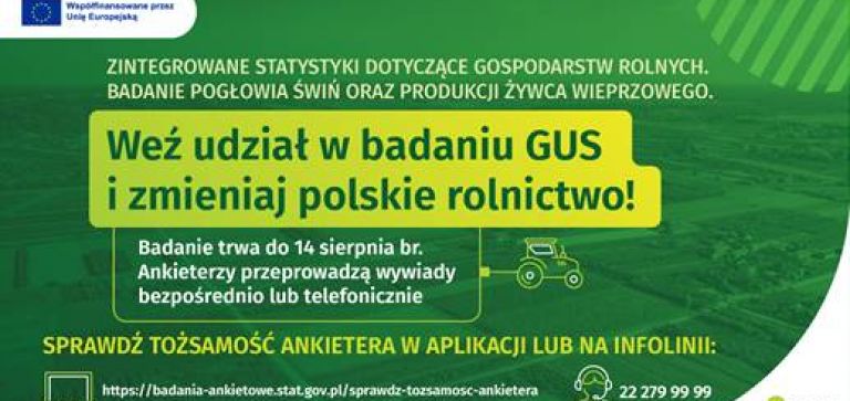 Badanie ankietowe GUS