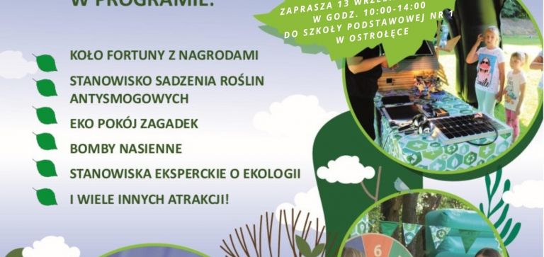 Ekologiczny piknik rodzinny