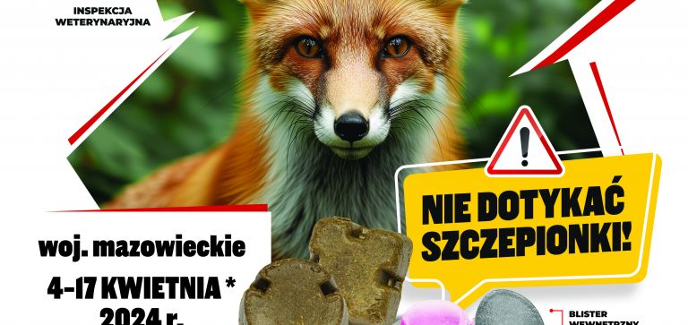 Szczepienie lisów przeciwko wściekliźnie