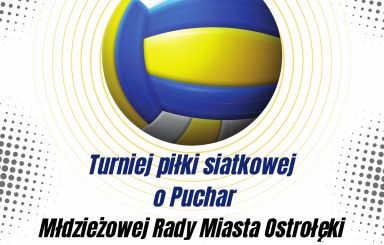 Turniej piłki siatkowej o Puchar Młodzieżowej Rady Miasta Ostrołęki