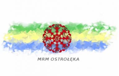 Wybory do Młodzieżowej Rady Miasta Ostrołęki